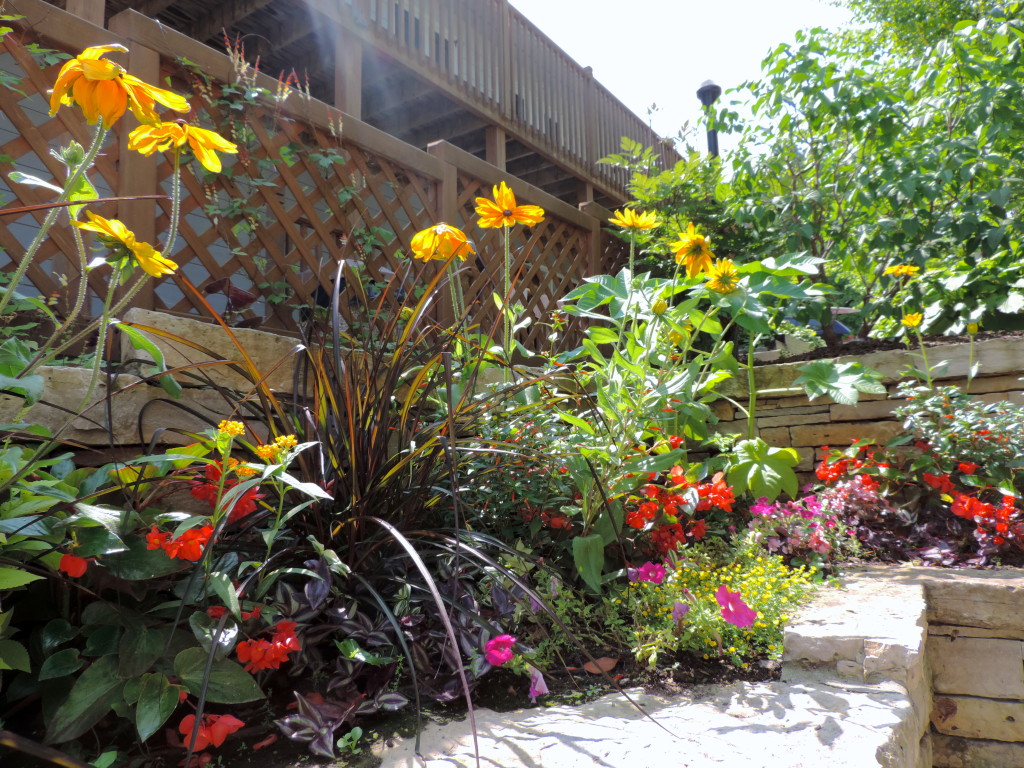 Door County - Fish Creek - Flowers