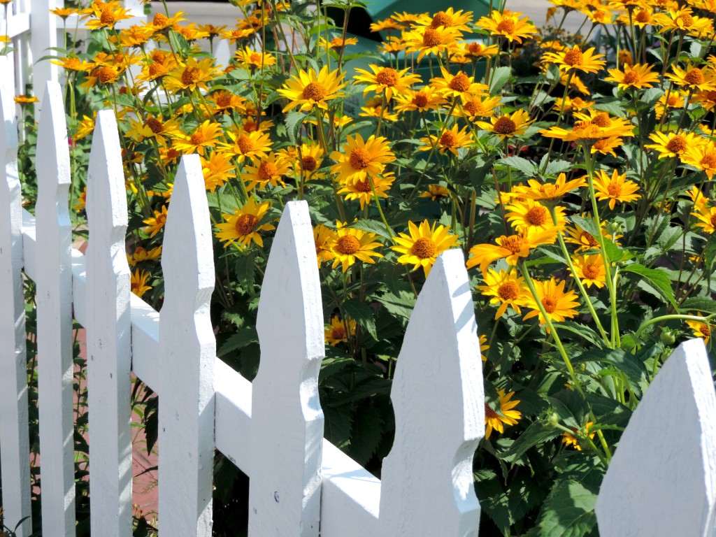 Door County - White Picket Fence - Flowers