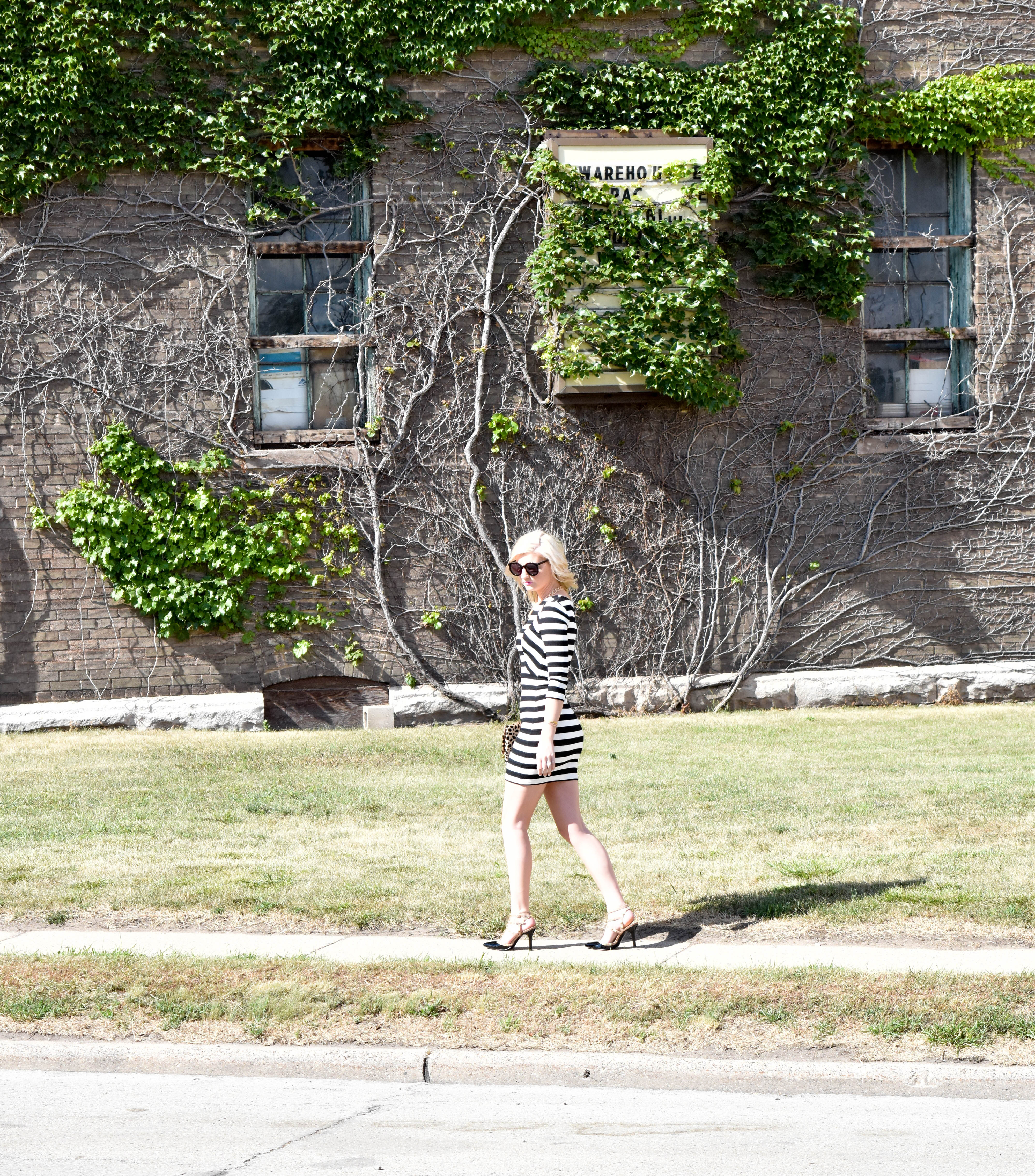 DSC_1029-3