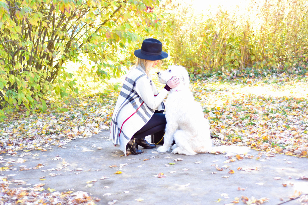 Plaid_Knit_Sweater_Weather_6
