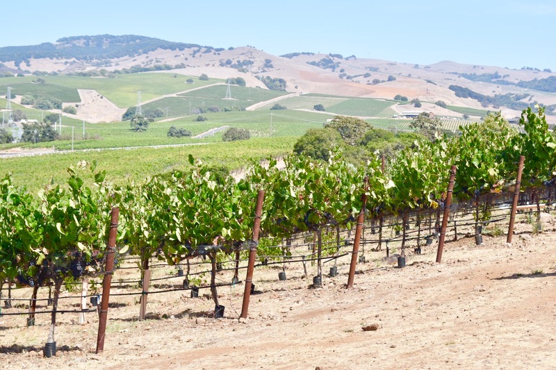Napa Valley Vineyards